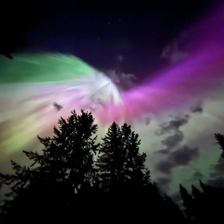 Half Moon Guest House クリアウォーター エクステリア 写真